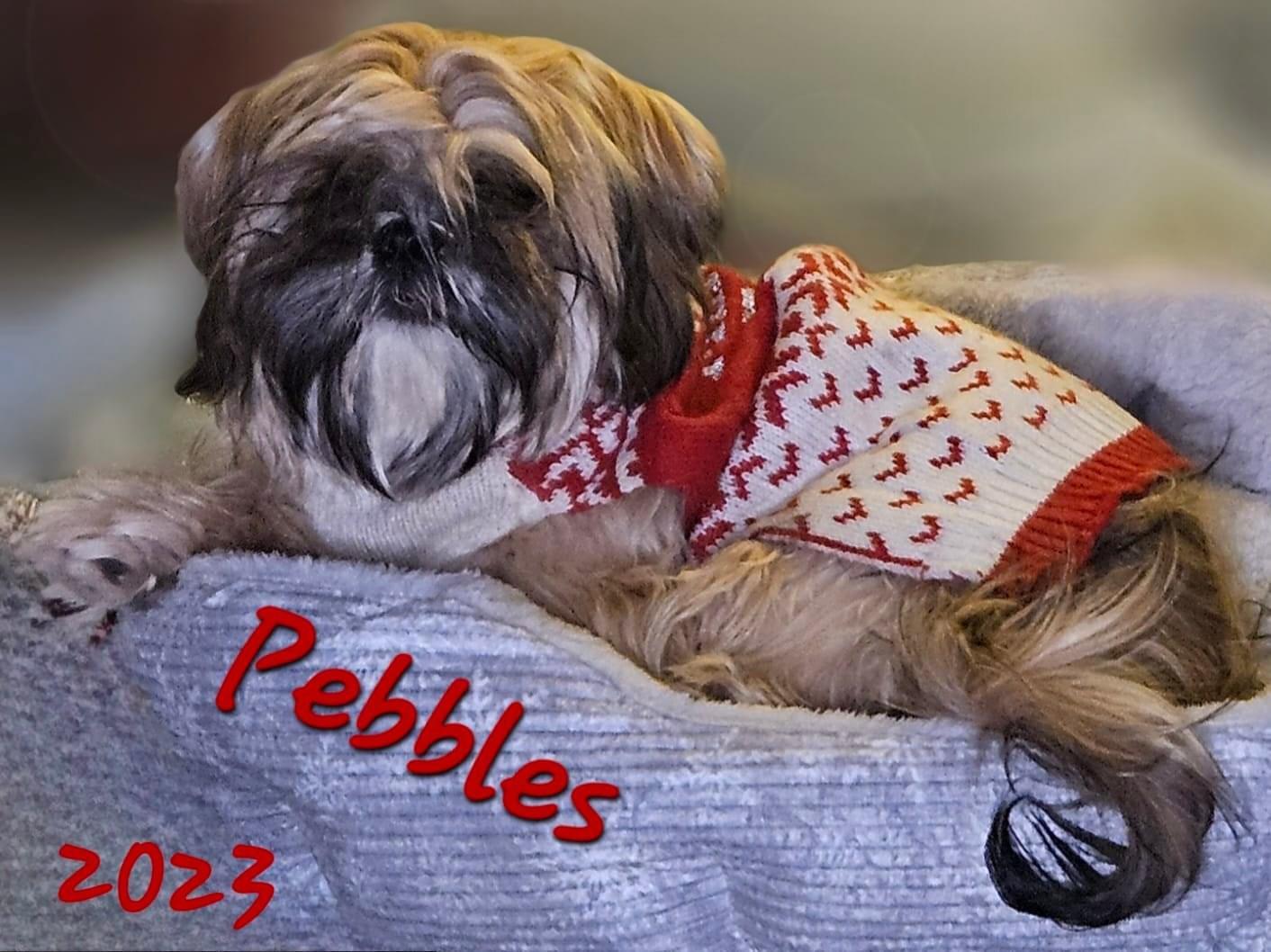 Pebbles