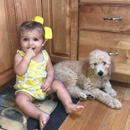 Goldendoodle Puppies from Lu Doodles