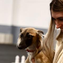 Windsprites from Sonora Wood Windsprites