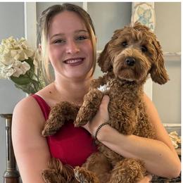 Peanut - Goldendoodle