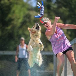 Golden Retrievers from Briarwood Lane Golden Retrievers
