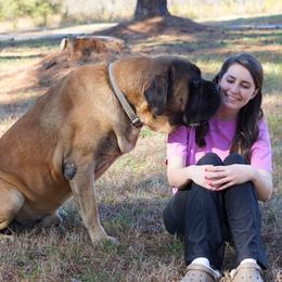 Grantham - Mastiff