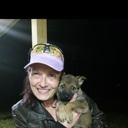 German Shepherd Puppies from Rammstein Kennels