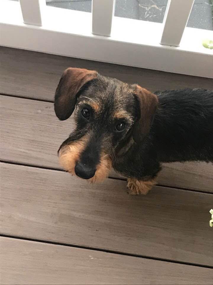 Marco