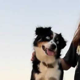 Roni - Miniature Australian Shepherd