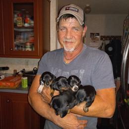 Dachshund Puppies from Carter's Dachshunds