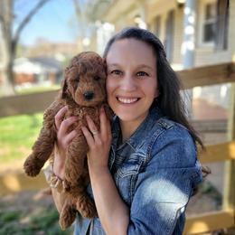 Goldendoodle Puppies from Edgewater Doodles