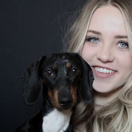 Dachshunds from Wise lil Weeinies