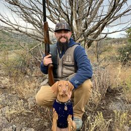 Vizsla Puppies from Reckless Rose Vizslas