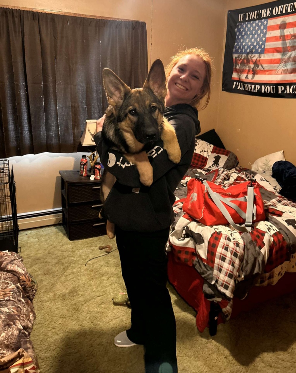 German Shepherd Puppies from Shepherds of the Hundred Acres