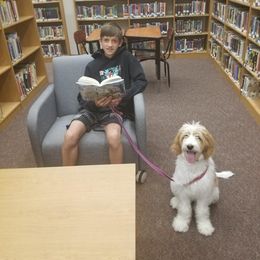 Bernedoodle, Goldendoodle, and Labradoodle Puppies from Riverhouse Doodles