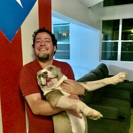 American Bully All Grown Up from American PitBully