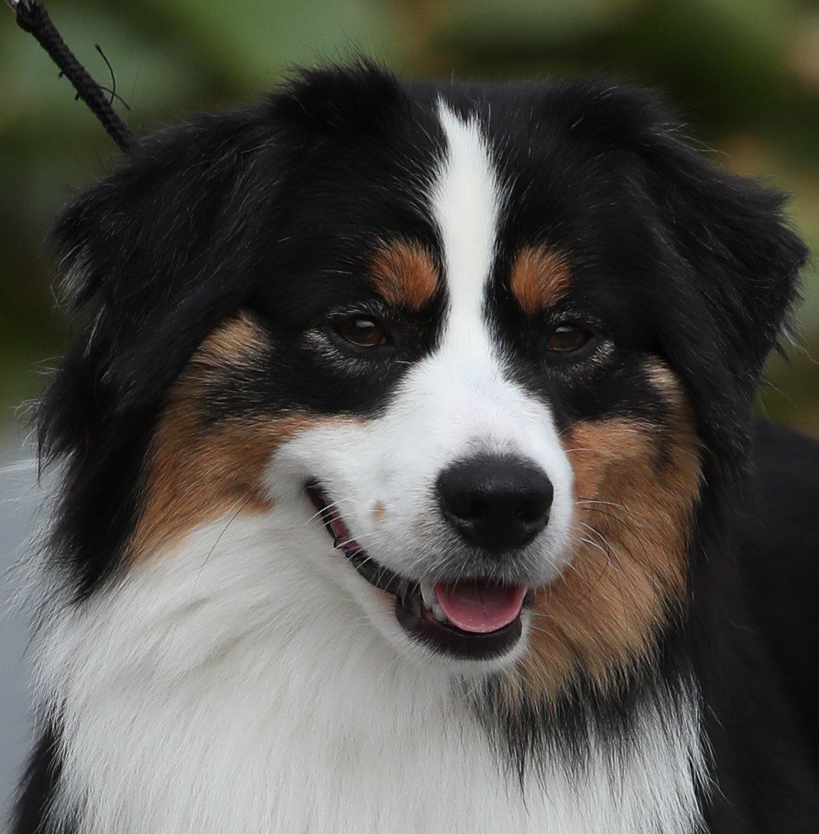 Bailey