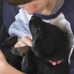 Pink Girl - Black and red female German Shepherd puppy in Rolesville, North Carolina from Ransomshire Shepherds