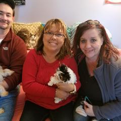 Yorkshire Terrier Puppies from Mine and Yorkies