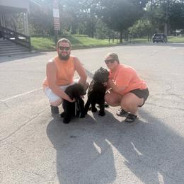 Blue Collar Boy - Black male Goldendoodle puppy in Knoxville, Tennessee from Niya’s Doodles