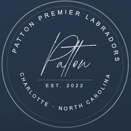 Gabriela - Black female Labrador Retriever puppy in Charlotte, North Carolina from Patton Premier Labradors
