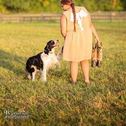 Collie and English Springer Spaniel All Grown Up from Briarcreek