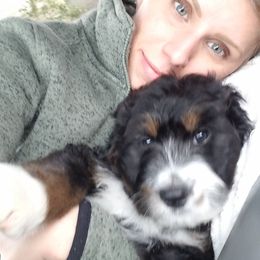 Bernedoodle Puppies from Flat Creek Bernedoodles