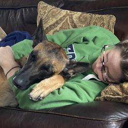 Belgian Malinois All Grown Up from Detto Fatto Malinois