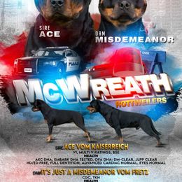 Rottweiler puppies from McWreath Rottweilers