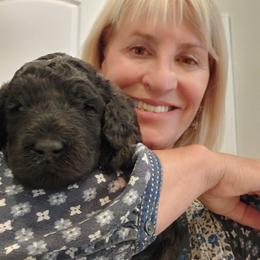 Poodle Puppies from Canterland Farm
