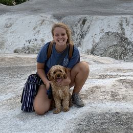 Stella - Cavapoo