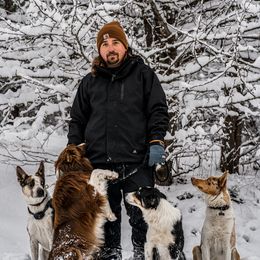 Border Collie Puppies from Cullins Collies