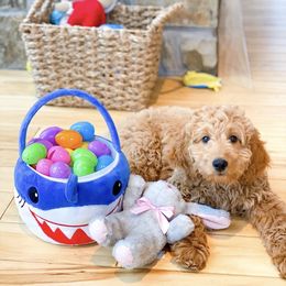 Goldendoodle Puppies from Hobble Creek Farms
