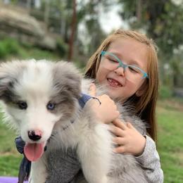 Border Collie Puppies from Cascade Sun Kennels