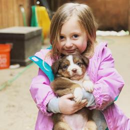 Australian Shepherds from Bell’s Down ‘n Dirty Australian Shepherds