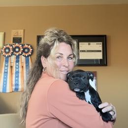 Girl 1 - Brindle and white female Staffordshire Bull Terrier puppy in Tomales, California from Moonspinner Staffords