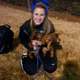Dachshund Puppies from Royall T Dachshunds