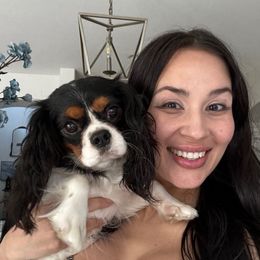 Sailor Pluto - Cavalier King Charles Spaniel