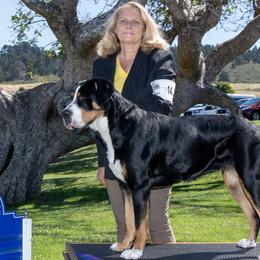YODEL - Greater Swiss Mountain Dog