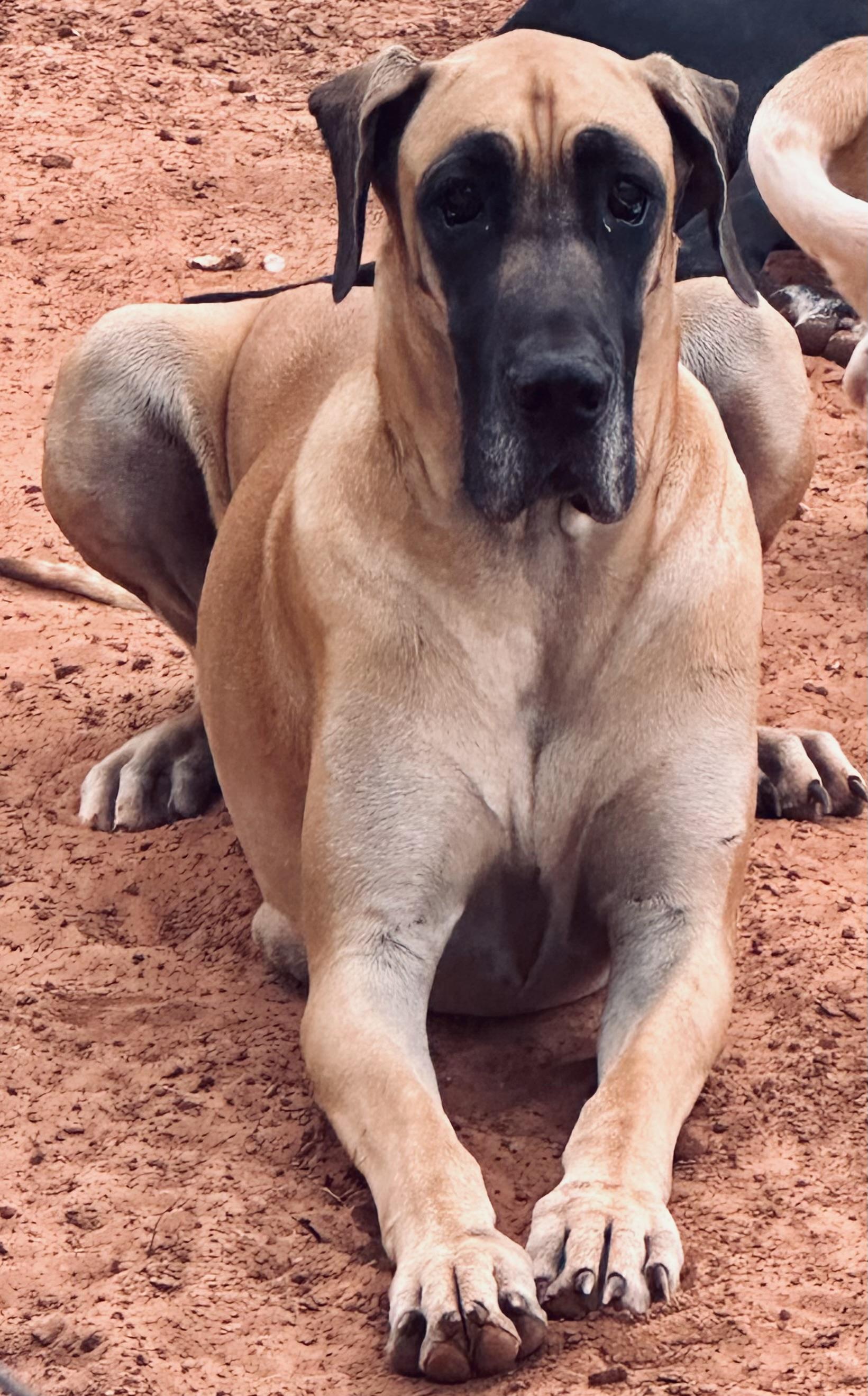 Winnie