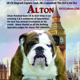 Alton - Bulldog