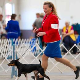 Rat Terriers and Teddy Roosevelt Terriers from Golden Hills Rat Terriers