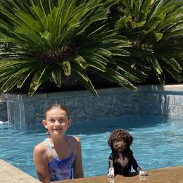 Lagotto Romagnolo Puppies from Anna’s Lagottos