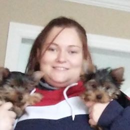 Poodles and Yorkshire Terriers from Winchester's Magic Yorkipoos & Poodles