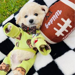 SPARKY - Cream male Maltipoo puppy in Sugar Land, Texas from Celebrity Maltipoos