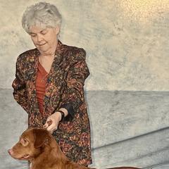 Nova Scotia Duck Tolling Retrievers from KD's Kennels