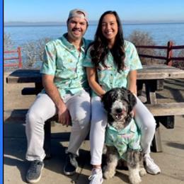 Aussiedoodle and Poodle Puppies from Arena Valley Acres LLC