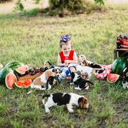 Basset Hound Puppies from Greene Acres Bassets