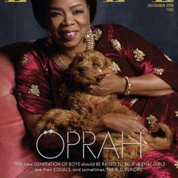 Goldendoodle Puppies from Beck Kennel