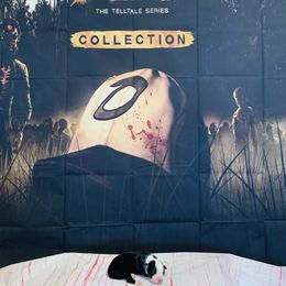 Australian Shepherd Puppies from REINVENTED.KENNELS