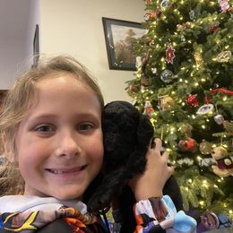 Poodle Puppies from D and D Standard Poodles