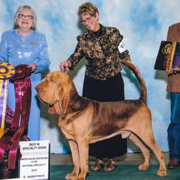 Bloodhounds from Sherick's Bloodhounds