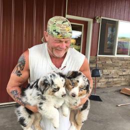 Australian Shepherd Puppies from Toni Thompson's Australian Shepherds