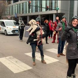"Therapy Puppy Bliss at the Chicago Thanksgiving Day Parade" Golden Retriever Puppies from Montrose Goldens